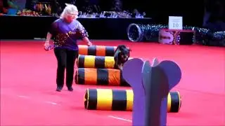Superdog Show Abracadabark-Game of Bones ft  Shrek the Rottweiler