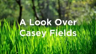 A Look Over Casey Fields