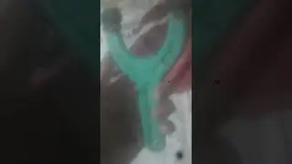gomeras