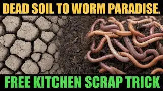 Why Smart Gardeners Never Buy Earthworms _ This SIMPLE FREE Trick Attracts Them Naturally!