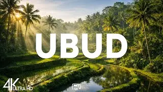 Top 10 Best Things to Do in Ubud, Bali, Indonesia [Ubud Travel Guide 2026]