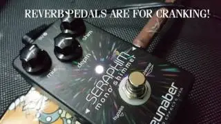 Neunaber Seraphim Mono Shimmer PEDAL DEMO