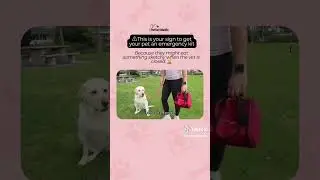 Pet Vet Emergency Kit - ✨This is your sign✨