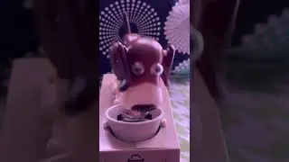 🐶🐩 EXTREMELY RARE COIN EATING DOG 3 😍 #satisfying #asmr #enjoy #foryou #yt #viral #dog #trending