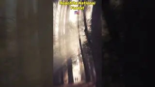 Ouachita National Forest Arkansas 🇺🇸
