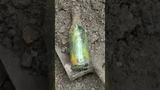 1l Findlay mcdairmaid & co Green beer bottle found Mudlarking & bottle digging Scotland
