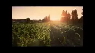 Grace Patriot Wines -- El Dorado County, CA