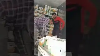 Exporting Premium G9 Cavendish Quality Banana To Dubai 👌🇦🇪👌