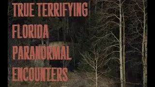 True Terrifying Florida Paranormal Encounters