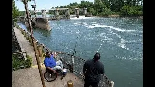 New Savannah Bluff Lock and Dam