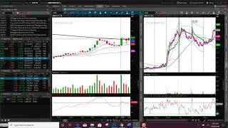 Stock Watch Lists Build for 10-1-2019