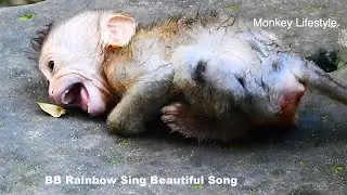 Adorable BB Rainbow sing a beautiful song make the world interesting in sound