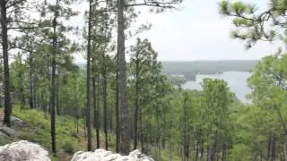 Smith Mountain Fire Tower on Lake Martin