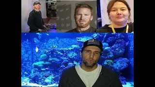 SCAM WARNING PSA Complaint Review of Aquarium Company