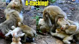 BREAKING NEWS! THERESA FROM AMBER ATT-ACKED ASHLEY AND LIBBY BUT SHE WAS ALMOT D-ED.