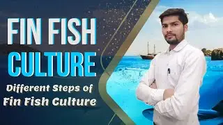 Fin Fish Culture | Different Steps for Fin Fish Culture | Fish Culture in Hindi #seniorsscience