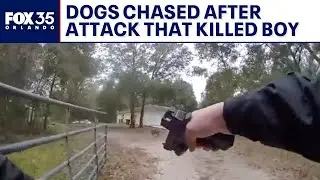 Bodycam: Dogs chased in attack that killed little boy