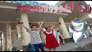 قروش اكواريوم مع فيصل و لمى | فقيه اكواريوم 🐬🦞