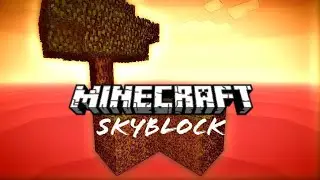 HOW TO PLAY SKYBLOCK IN MINECRAFT
