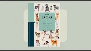 Paperscapes: The Dog