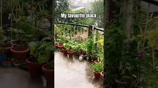 My favourite place in my home #favouriteplace #ilovegardening #motivation #vlog #gardening #barish