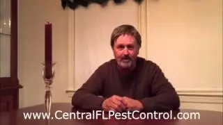 Why Use ASAP Pest Control (386) 957-1023