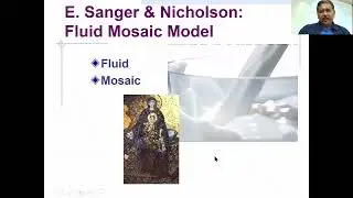 Lecture Diffusion and Osmosis