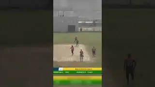 Bowling Highlights: 3/29 🏏 Tennis Ball Bowling 🔥