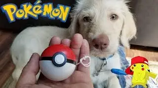 POK&Eacute;MON POK&Eacute; BALL YO-YO Unboxing & Review.  Poke'mon YoYo