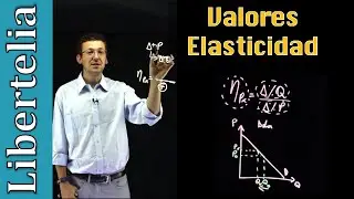 Valores de la elasticidad precio de la demanda | Elasticidades | Microeconomía | Libertelia