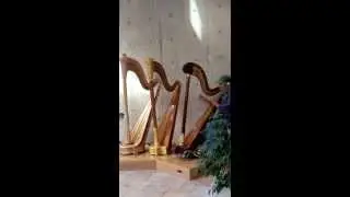 Salvi Angelica Pedal Harp - 