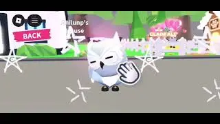 Petting all my pets in adopt me ! 