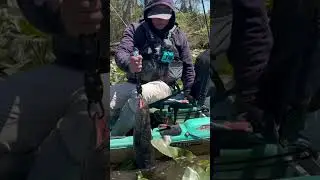 Catch and release whatever I catch (invasive fish let go) 🔥 #fishing #shorts