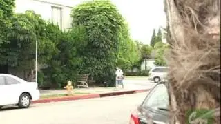 Best of Stoner Skate Park montage.