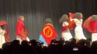 Edison high school international night