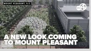 Mount Pleasant Towne Centre redevelopment: Owners concerned for future of Belk and Theater spaces