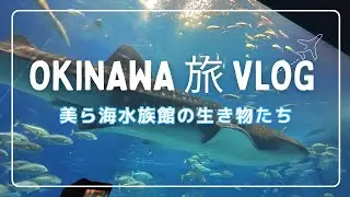 沖縄の旅-美ら海水族館の生き物たち