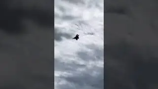 F-22 Raptor QCAS 2024