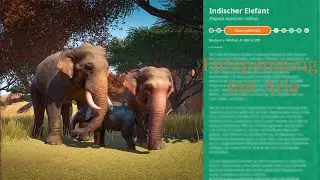 Entspannen mit Aria (Indischer Elefant)