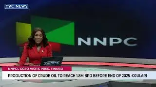 Hike In Price Of Cooking Gas Temporary - NNPCL GCEO Ojulari
