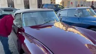 Amazing Cars à Versailles
