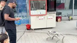 The Australian bro likes Chinese robots a lot! | Robot & Robotics Technology in China
