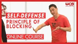 Self-Defense (Principle of Blocking) by 505 Online course - DK Yoo