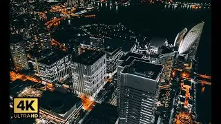 4K Virtual Tour of Tokyo | Relaxing Music | Microsoft Flight Simulator 2024 Experience