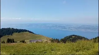 FANTASTIC VIEW OF LAKE GENEVA FROM ALPS   II   PINE TREES, COWS, NATURAL BEAUTY OF EUROPE