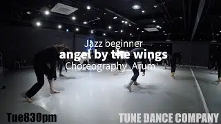 Jazz Beginner l TUNE DANCE COMPANY l sia-angel by the wings l Choreography-Arum