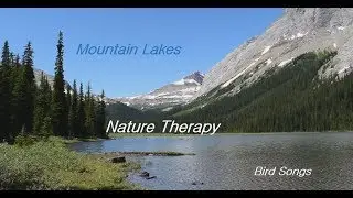 Mountain Lakes ☮ North American Birds Singing ☯ (Nature Therapy)