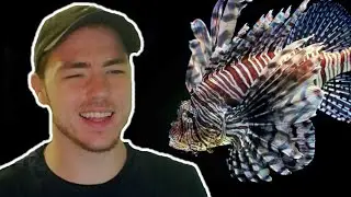 Fish Biologist reacts to 