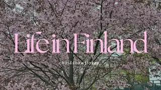 Aesthetic Weekend Vlog | Cherry Blossoms & Indian Food