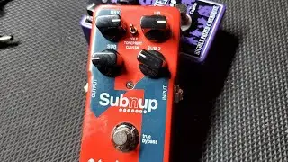 Review and Demo of the TC Electronic SubnUp Octave Pedal!! Caline Enchanted Tone as the Overdrive.